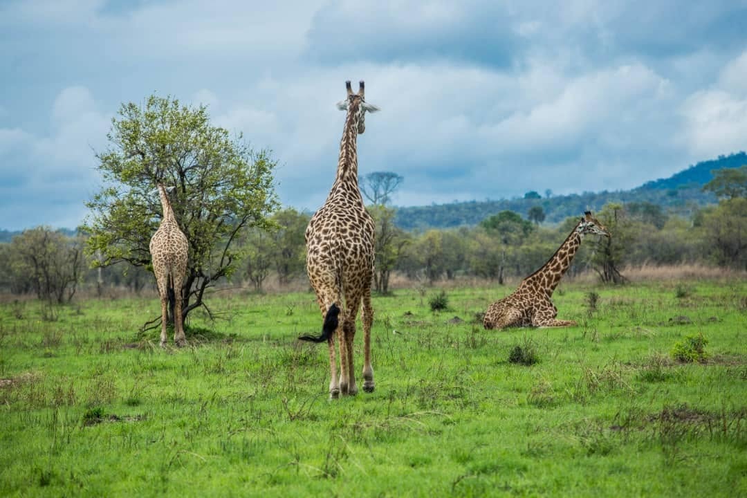 Dżiny – niewidzialni mieszkańcy Zanzibaru